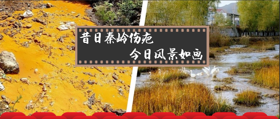 昔日秦岭伤疤 今日风景如画——陕西环保集团黄龙河流域污染治理侧记