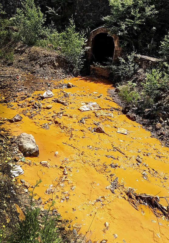 昔日秦岭伤疤 今日风景如画——陕西环保集团黄龙河流域污染治理侧记