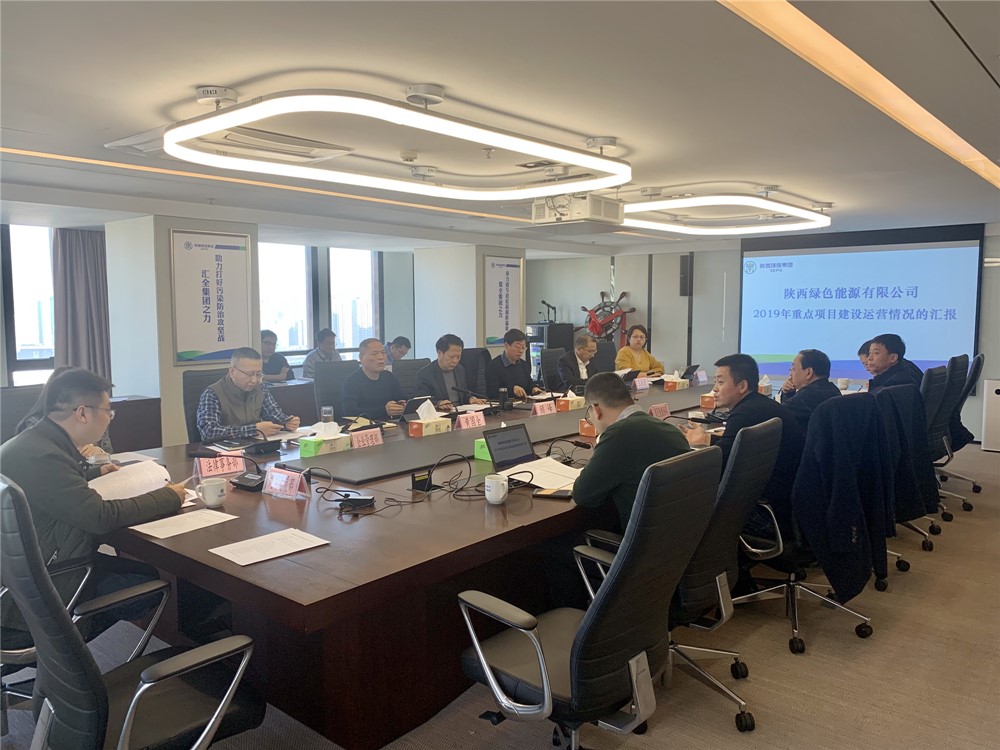 顾峰听取绿色能源公司重点项目建设运营情况汇报