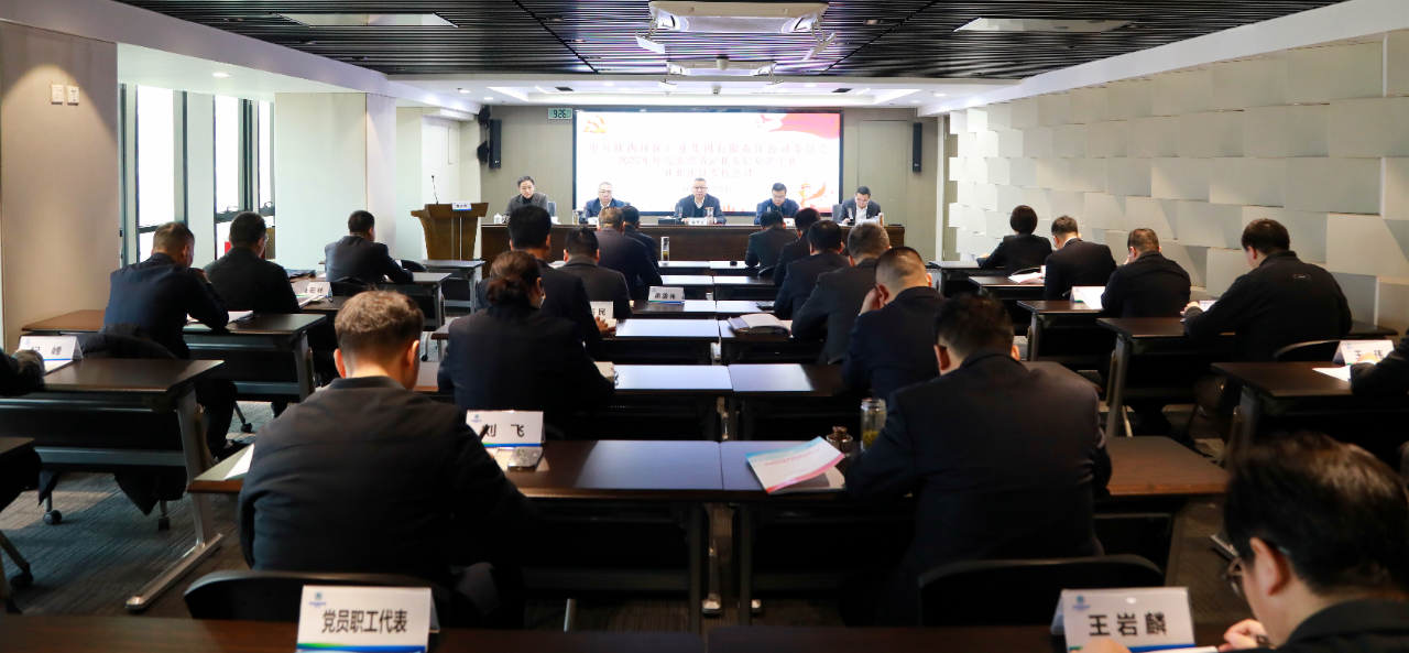 陕西环保集团党委召开2025年度党组织书记抓基层党建工作述职评议考核会议